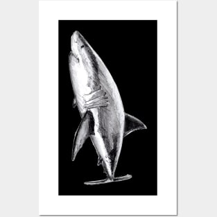 Great white shark Posters and Art